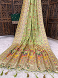 Traditional multicolor Patola-inspired pallu and border  PISTA